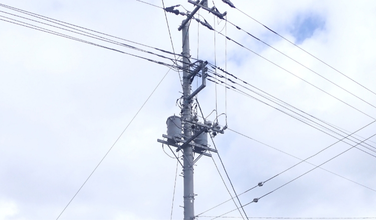 千葉沿岸部の配電用鋼管柱